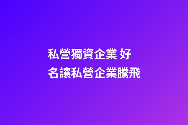 私營獨資企業 好名讓私營企業騰飛-第1張-公司起名-玄機派